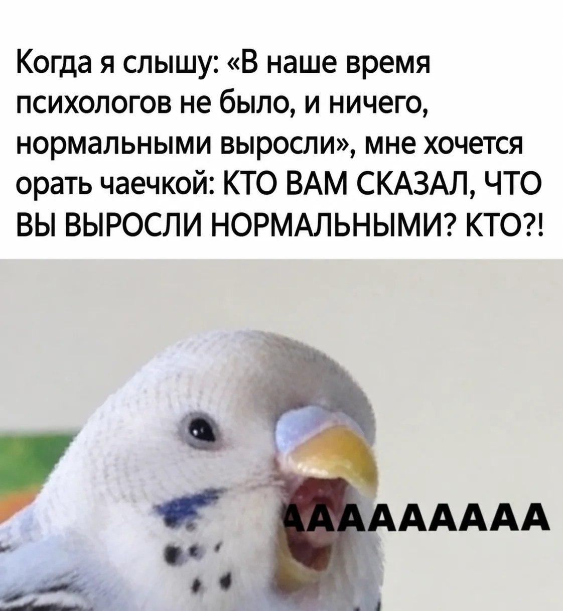 Психологи, мем