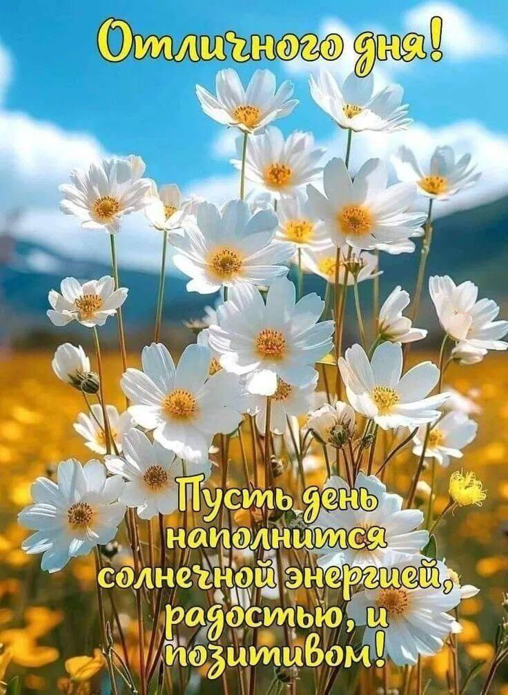 Доброе утро