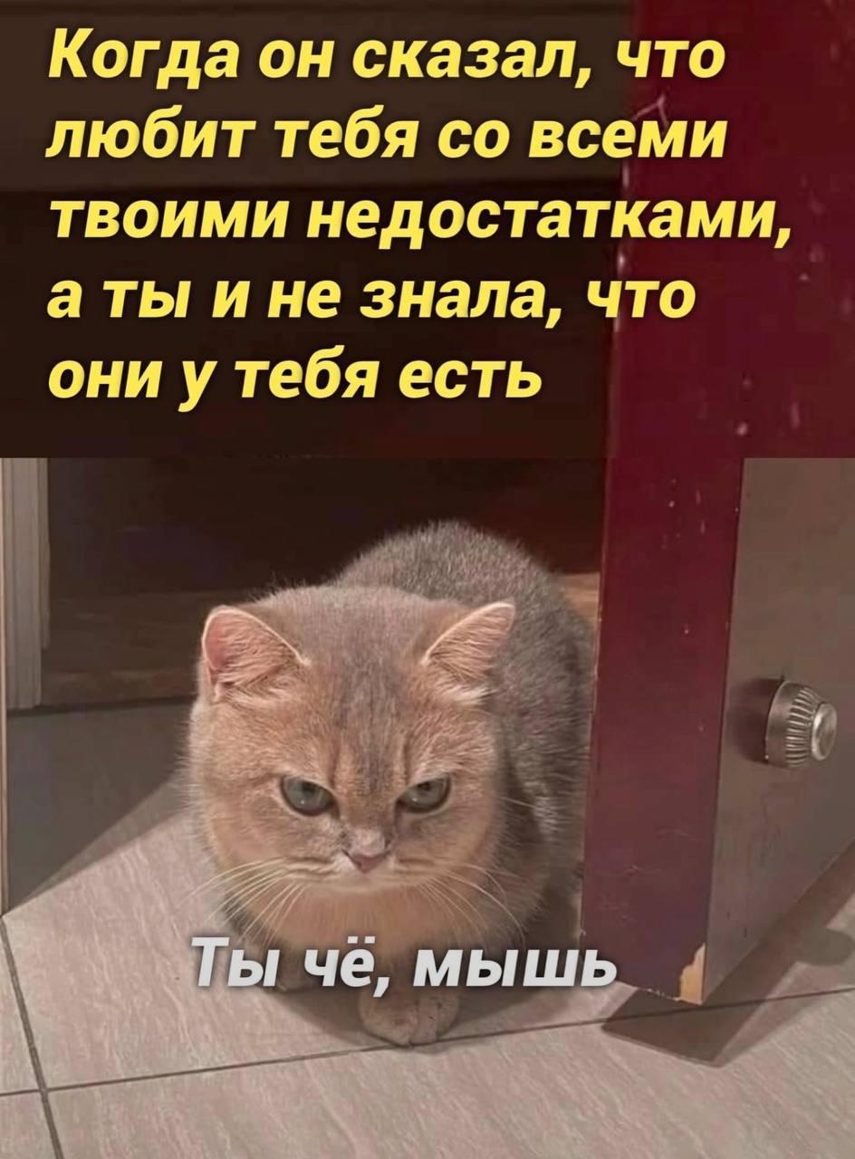 Женщина, мем